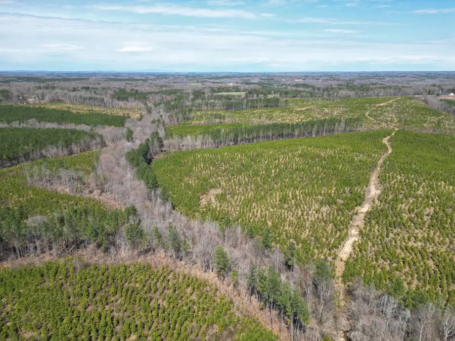 Dixon Trail, Vernon Hill, VA 24597 - Image #3