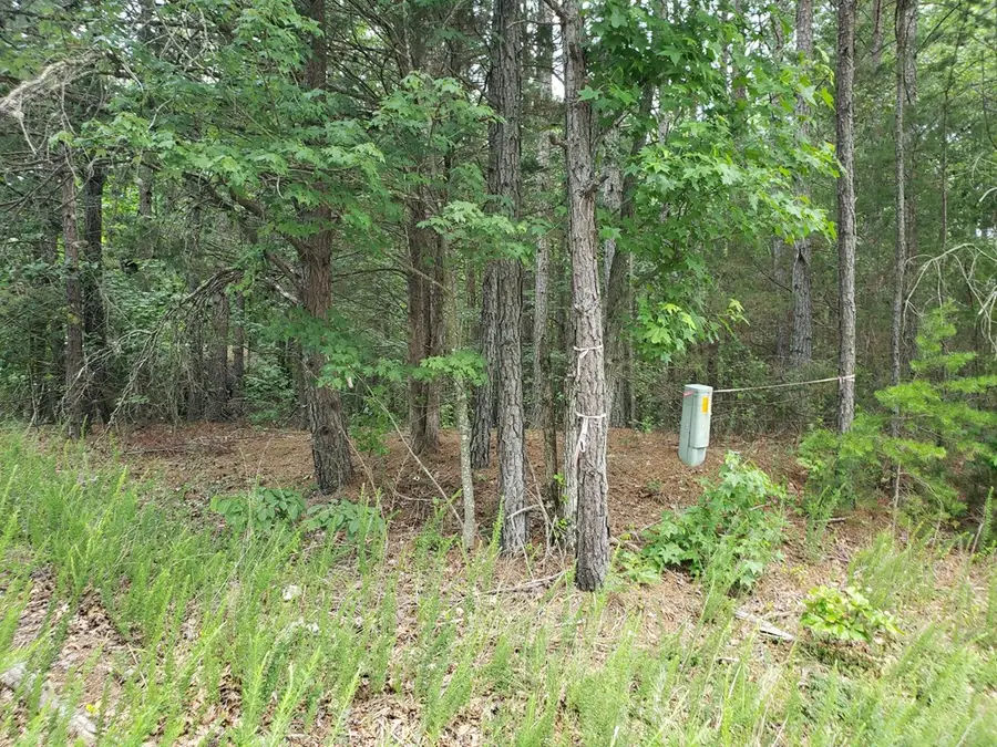 Wilkins Road, Alton, VA 24520 - Image #3