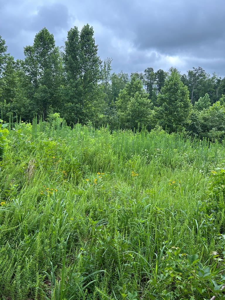 Prince Edward Highway, Rice, VA 23966 - Image #1