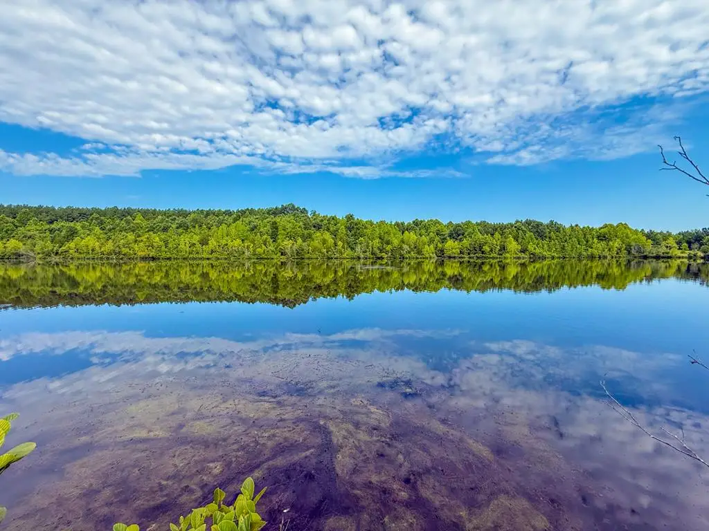 Mountain Hall Road, Crewe, VA 23930 - Image #1