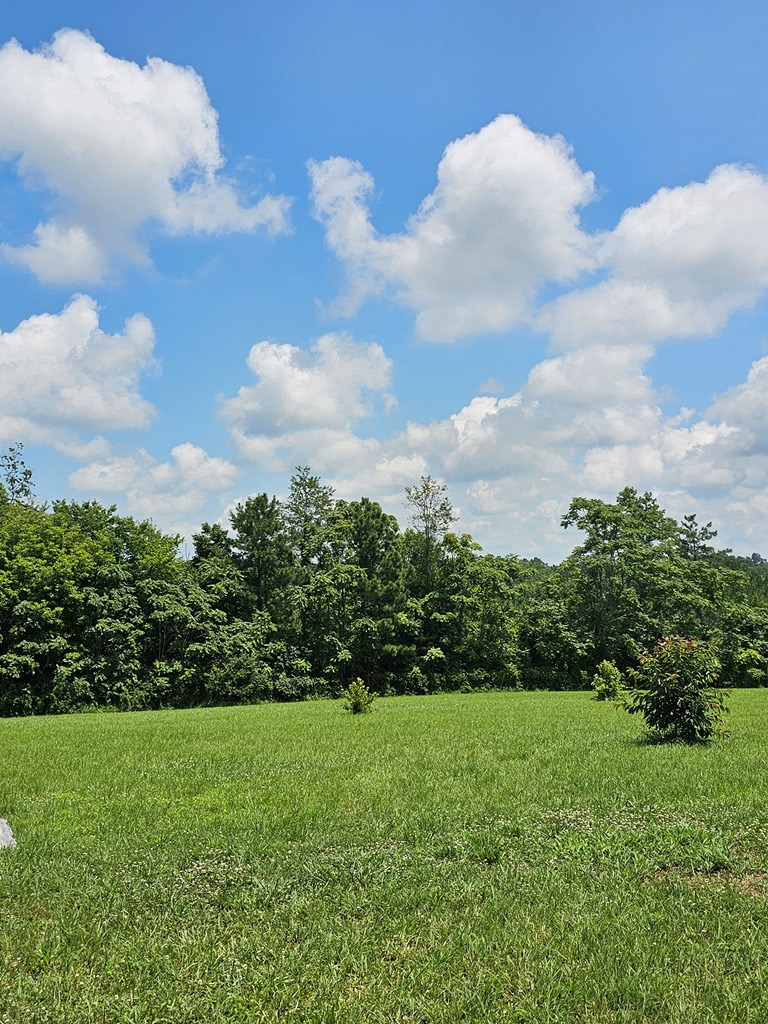 634 Harrisburg Road, Randolph, VA 23962 - Image #3