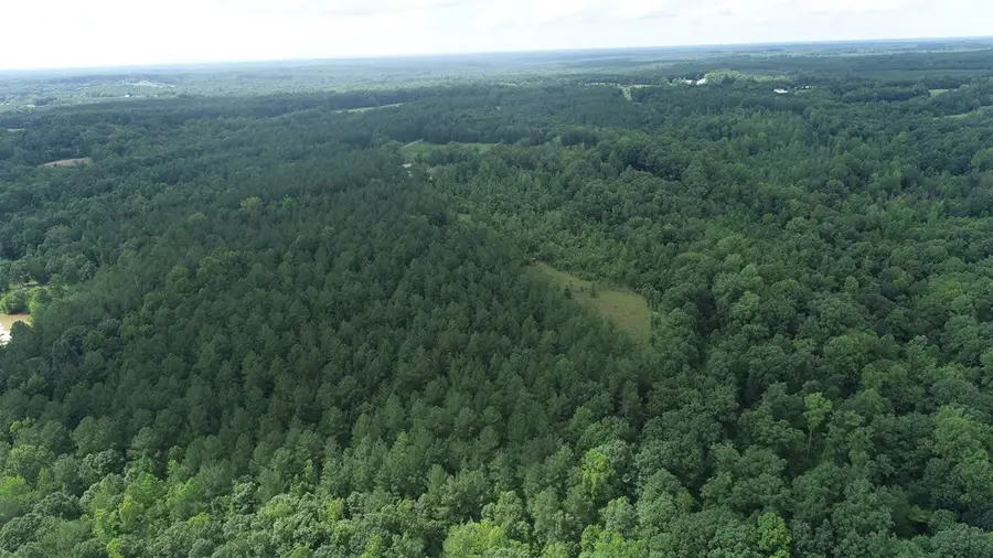 Genito Parkway, Jetersville, VA 23083 - Image #3