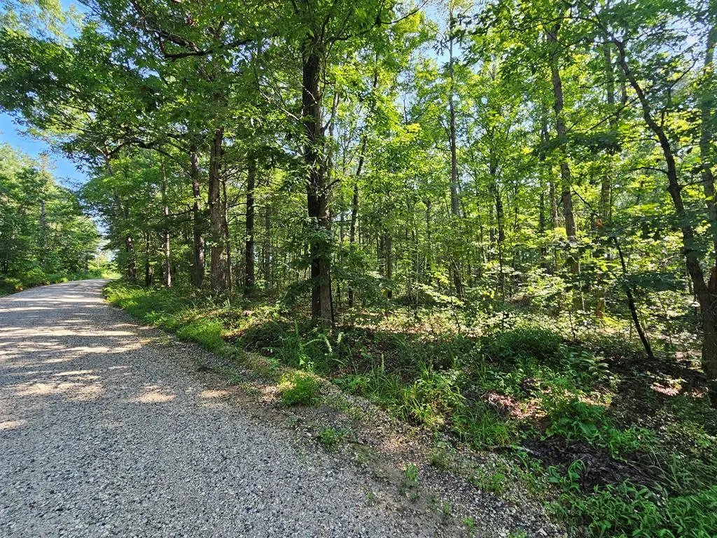 Sycamore Creek Rd, Wingina, VA 24599 - Image #1