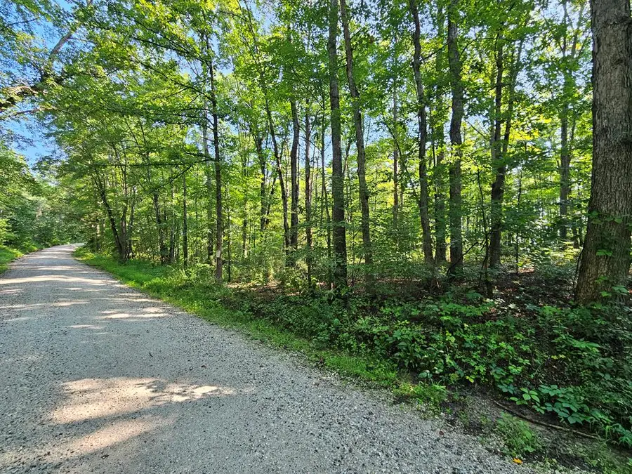 Sycamore Creek Rd, Wingina, VA 24599 - Image #3