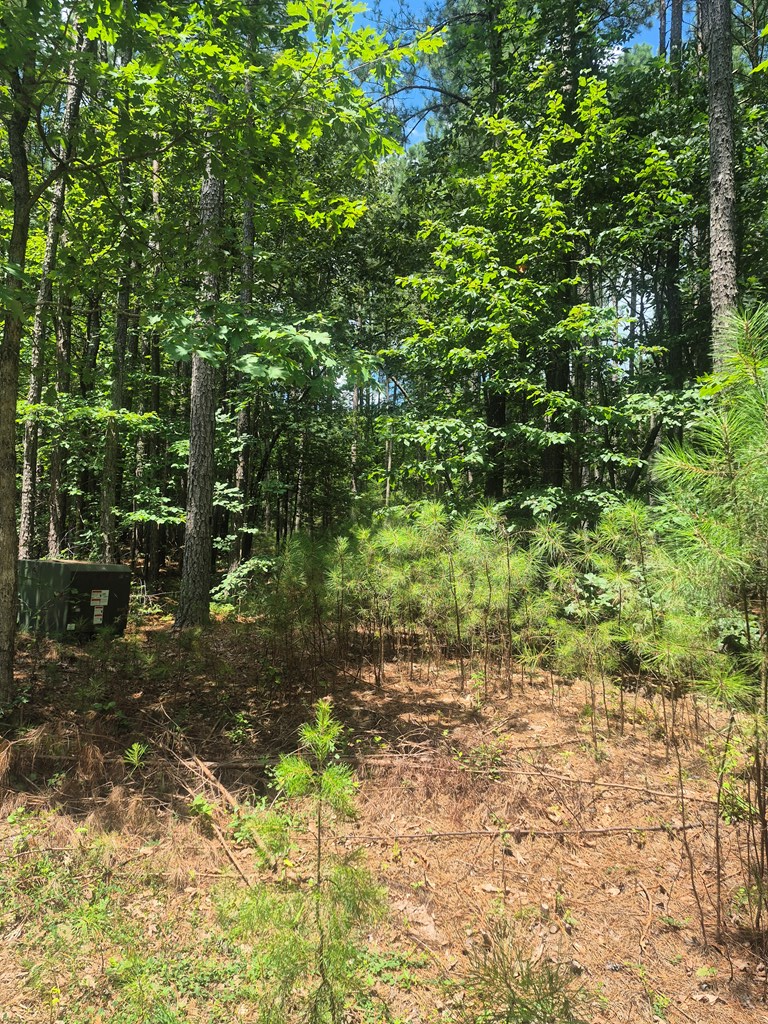 Hixburg Rd., Prospect, VA 23960 - Image #3