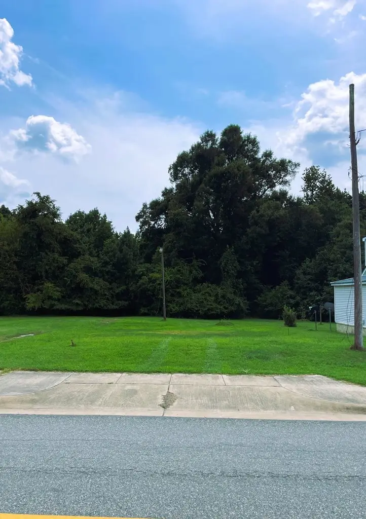 Nottoway Ave, Blackstone, VA 23824 - Image #3