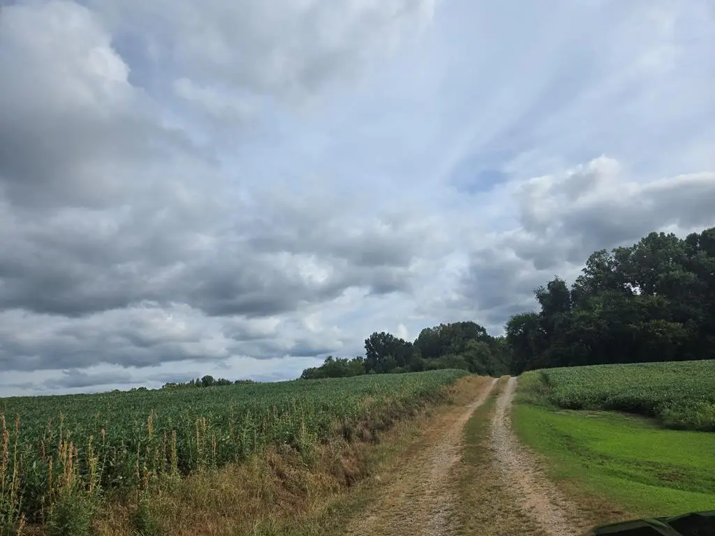 Address Withheld By Seller, Farmville, VA 23901 - Image #1