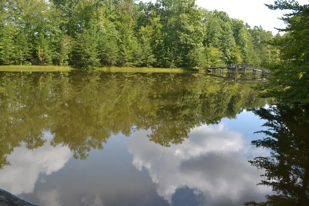 Steven Street, Farmville, VA 23901 - Image #1