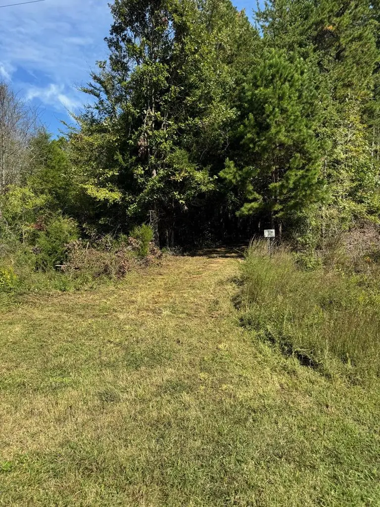 9043 Bill Tuck Highway, Virgilina, VA 24598 - Image #1