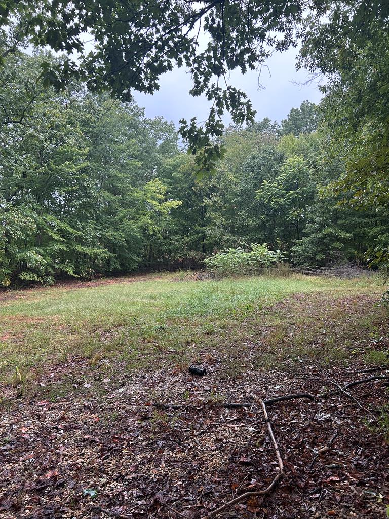 Kozy Lane, Buckingham, VA 23921 - Image #1