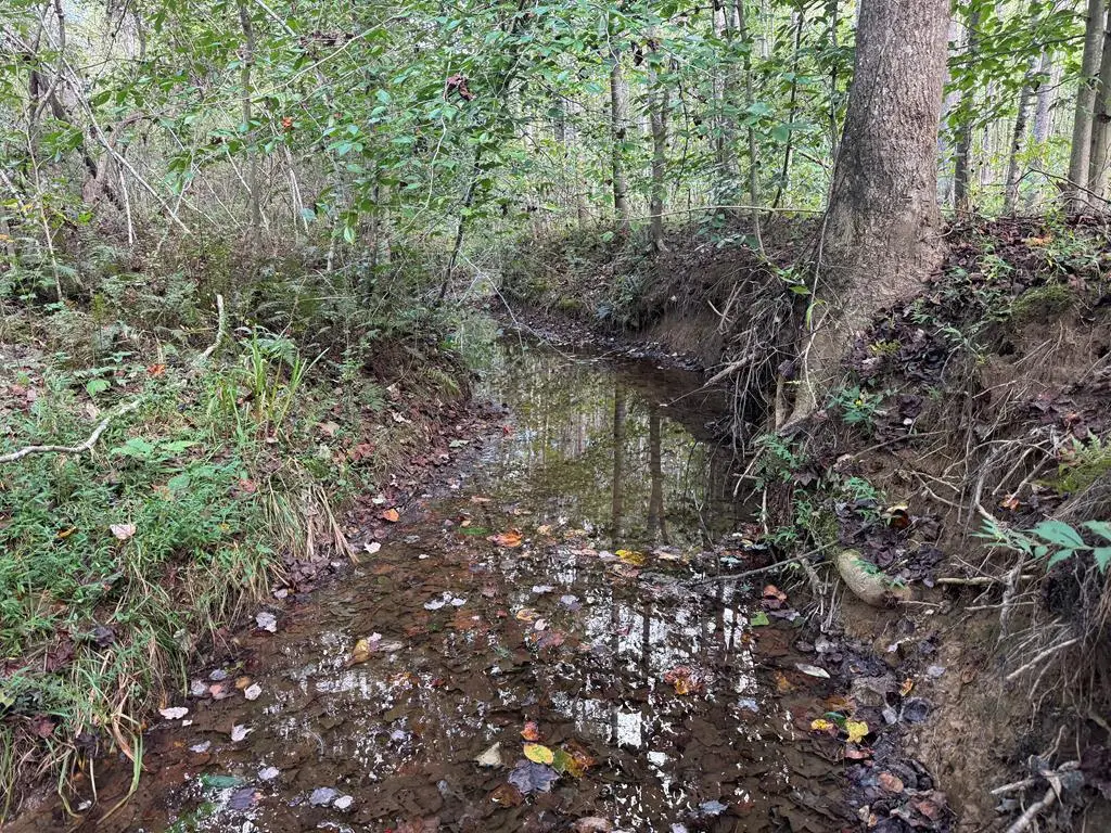 Mountain Ridge Lane, Shipman, VA 22971 - #1