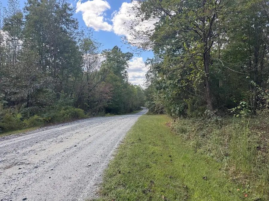 Mountain Ridge Lane, Shipman, VA 22971 - #2