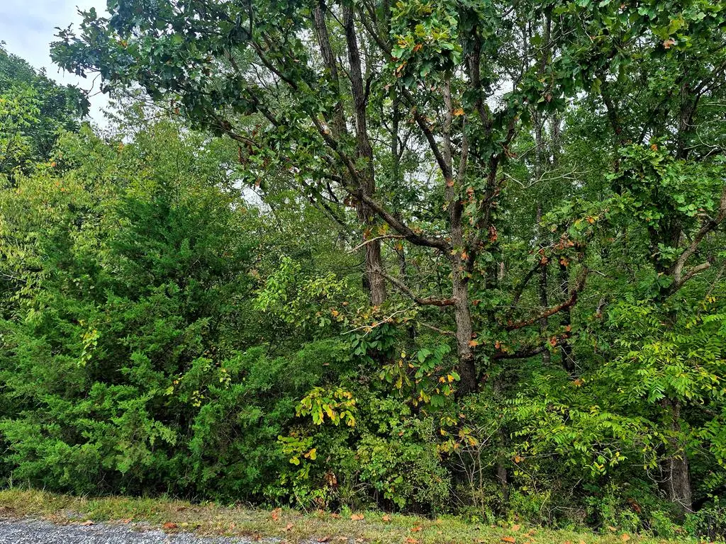 Wildflower Lane, Dillwyn, VA 23936 - #1