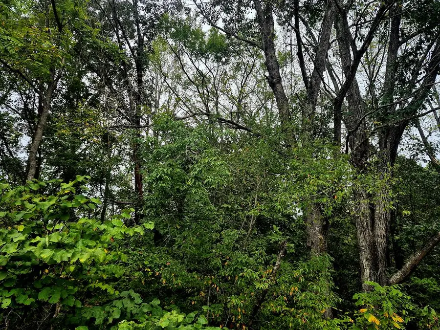 Wildflower Lane, Dillwyn, VA 23936 - #2