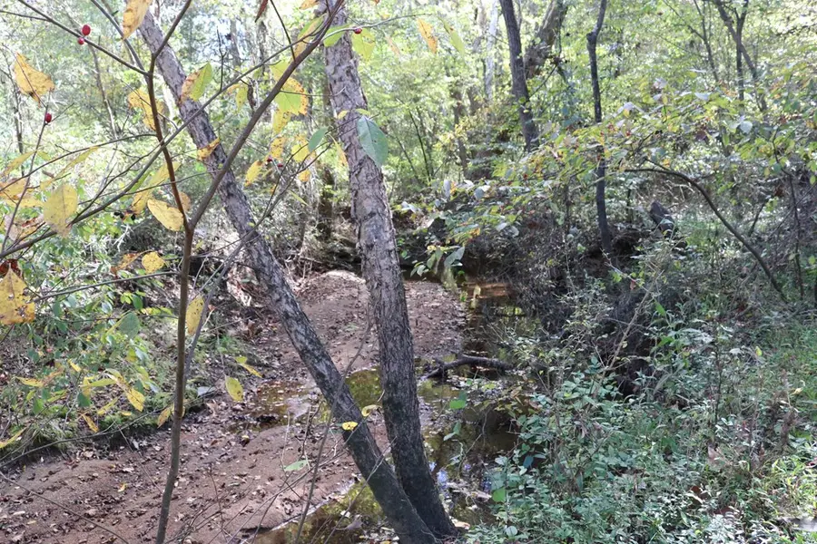 Buffaloe Lane, Farmville, VA 23901 - Image #3