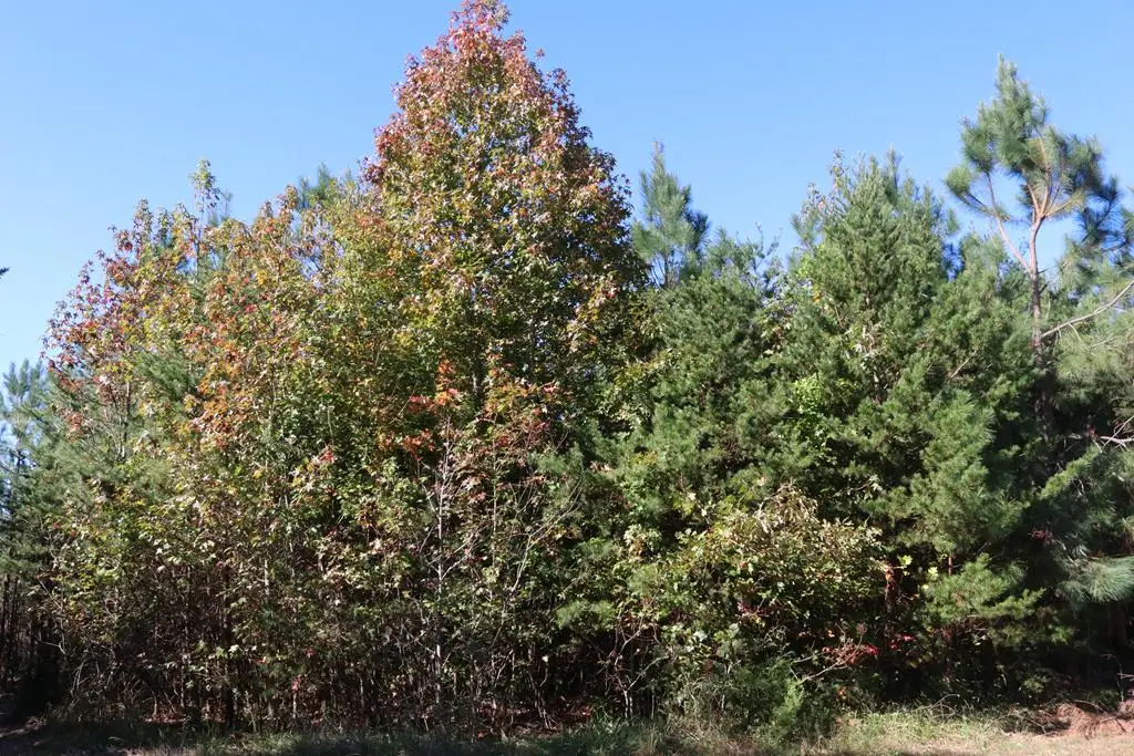 Farmville Road, Meherrin, VA 23954 - Image #1