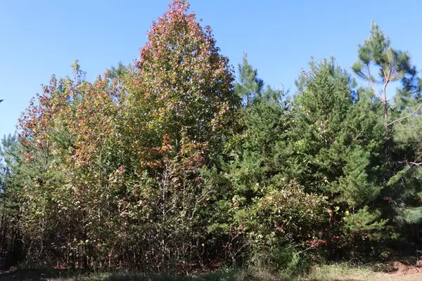 Farmville Road, Meherrin, VA 23954