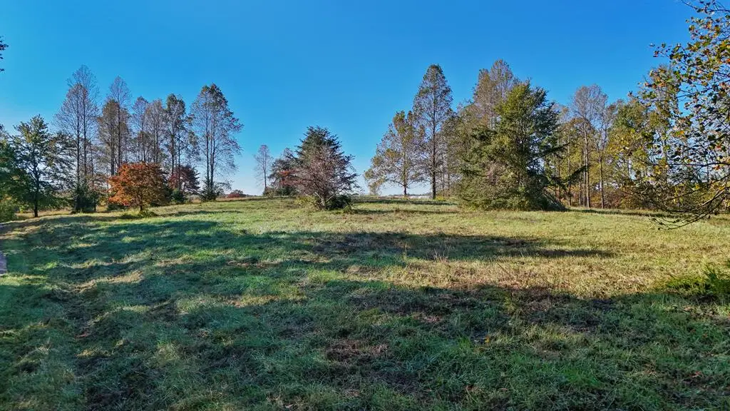 Allen Rosen Rd, Dillwyn, VA 23936 - Image #1