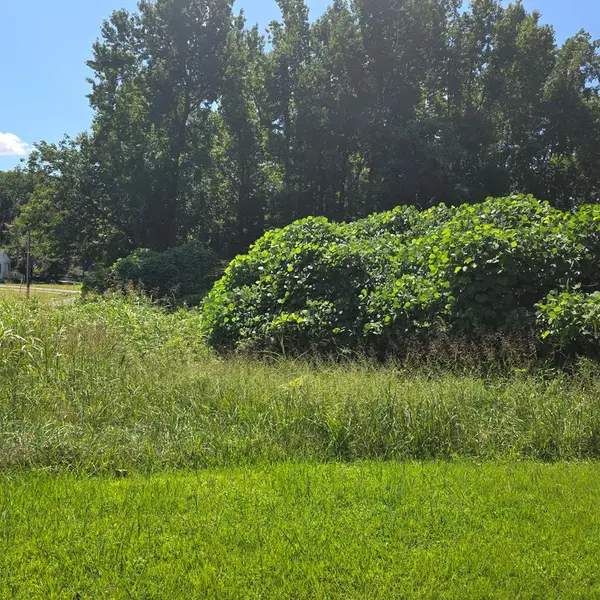 Lunenburg Avenue, Victoria, VA 23974