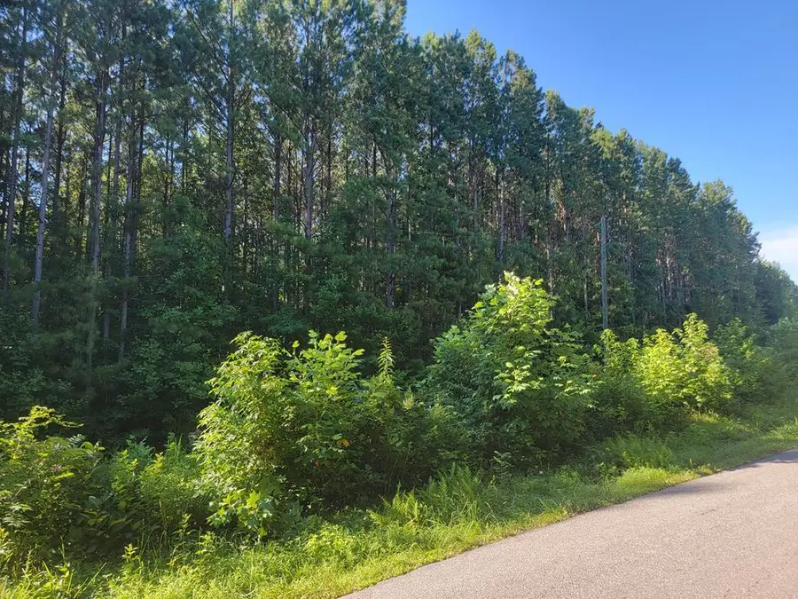 Double Bridges, Keysville, VA 23947 - Image #2