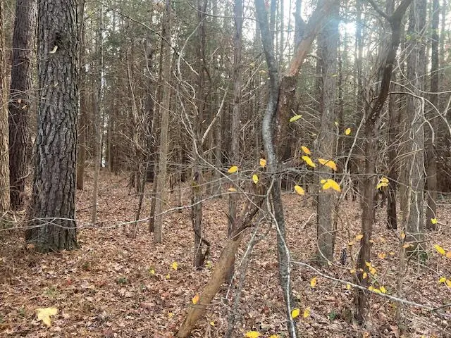 Craig Mill Road, South Hill, VA 23970 - Image #2