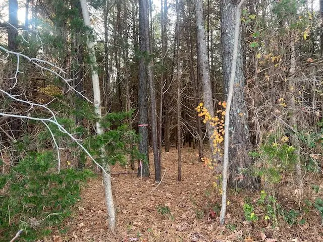 Craig Mill Road, South Hill, VA 23970 - Image #3