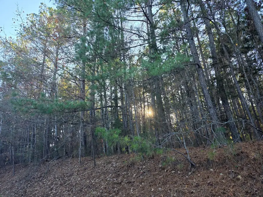 Mountian Creek Rd, Green Bay, VA 23942 - Image #3