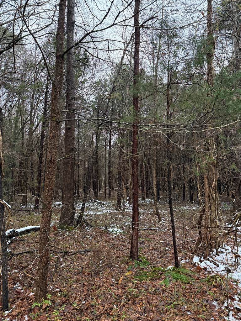 River Road, Farmville, VA 23901 - Image #2