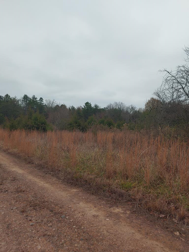 Boyds Ferry Trail, South Boston, VA 24592 - Image #1