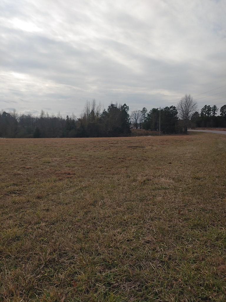 H P Anderson Rd, Crystal Hill, VA 24539 - Image #3