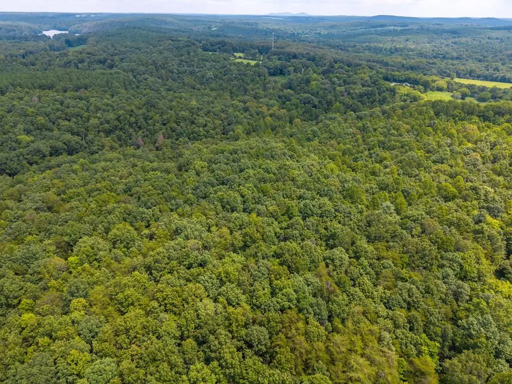 Holiday Lake Road, Appomattox, VA 24522 - Image #1