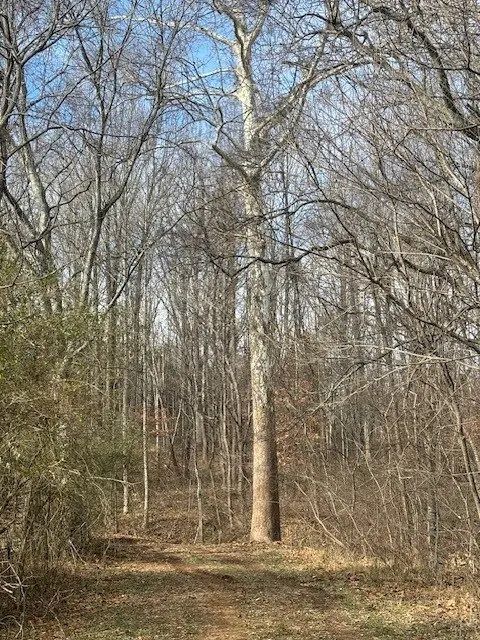 Holiday Lake Road, Appomattox, VA 24522 - Image #2