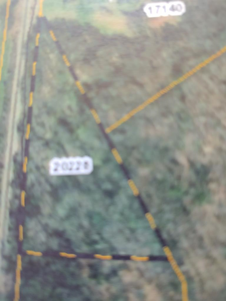 Cardwell Trail, Crystal Hill, VA 24539 - #1