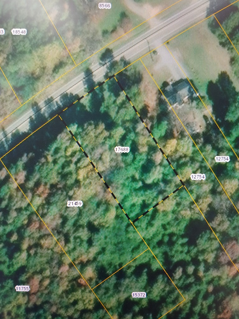 Mountain Road, Halifax, VA 24558 - #3