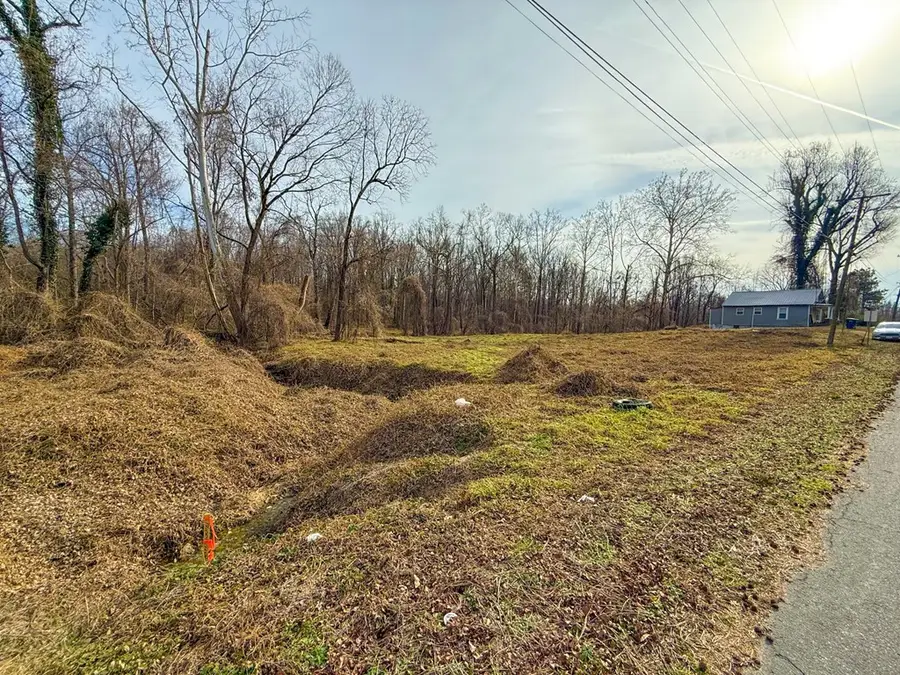 Dimmick Street, Burkeville, VA 23922 - Image #3