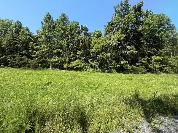 Shade Tree, New Canton, VA 23123