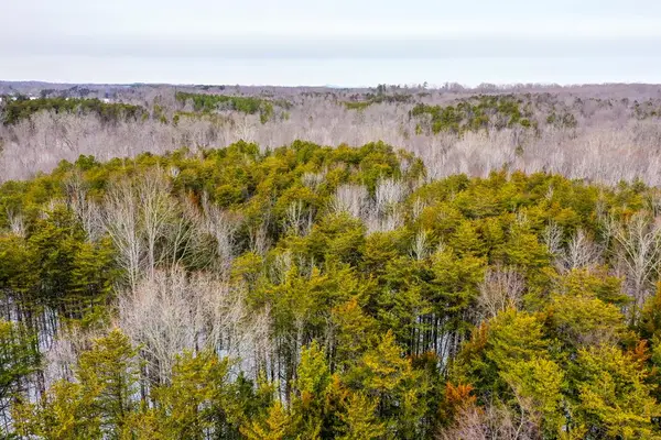 Farmville Road, Farmville, VA 23901