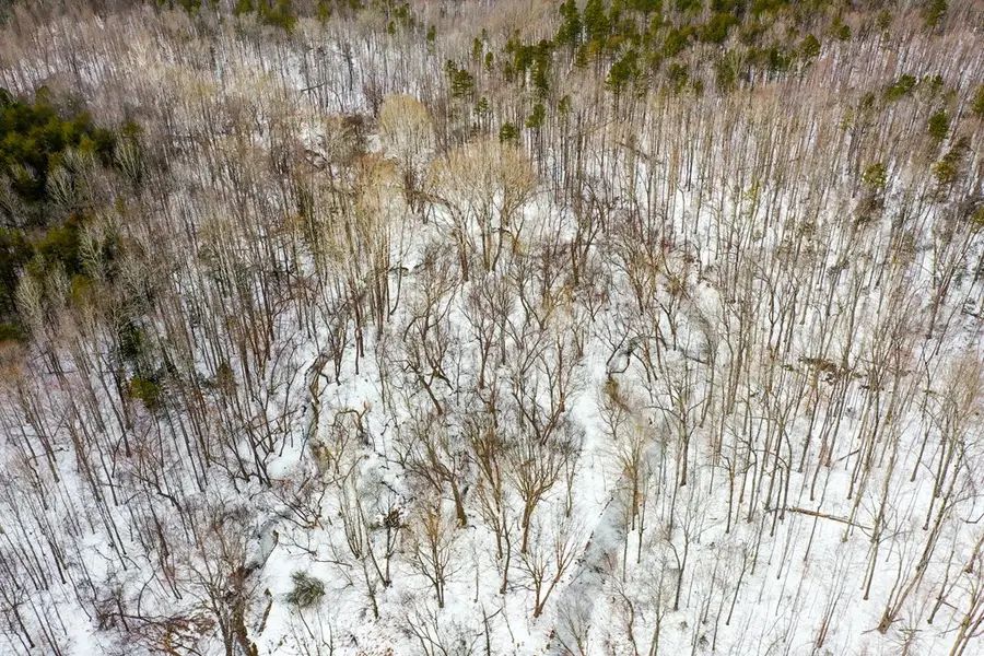 Farmville Road, Farmville, VA 23901 - Image #2