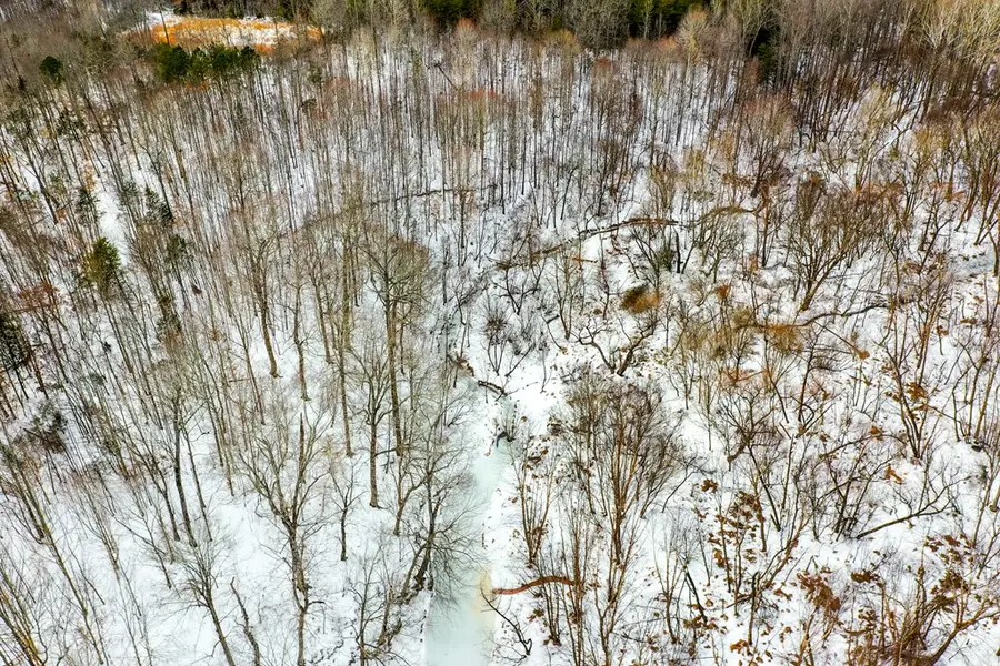 Farmville Road, Farmville, VA 23901 - Image #3