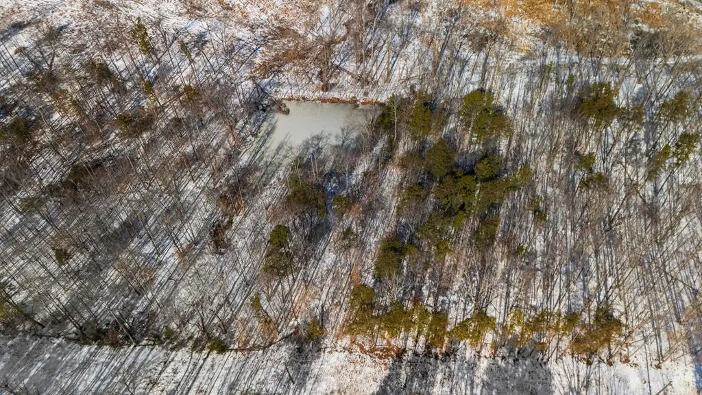 Abilene Rd, Prince Edward, VA 23901 - Image #1