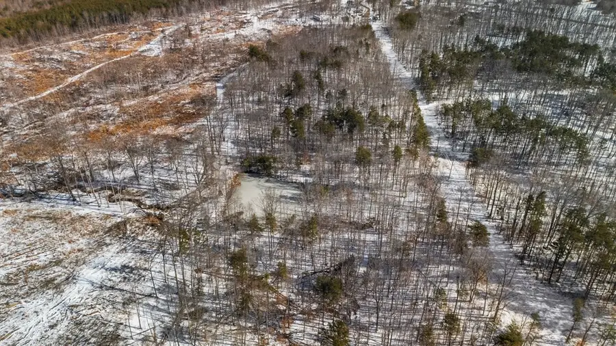 Abilene Rd, Prince Edward, VA 23901 - Image #3