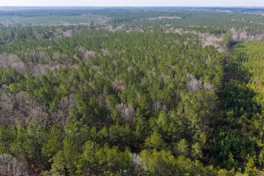 26398 Cherry Hill Rd, McKenney, VA 23872 - #3