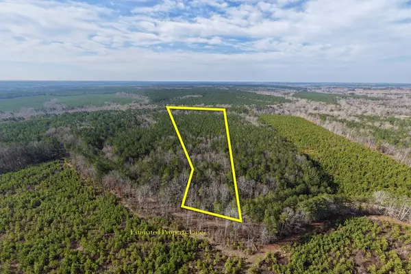 00 Cherry Hill Rd, McKenney, VA 23872