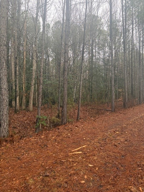 26399 Cherry Hill Rd, McKenney, VA 23872 - #2