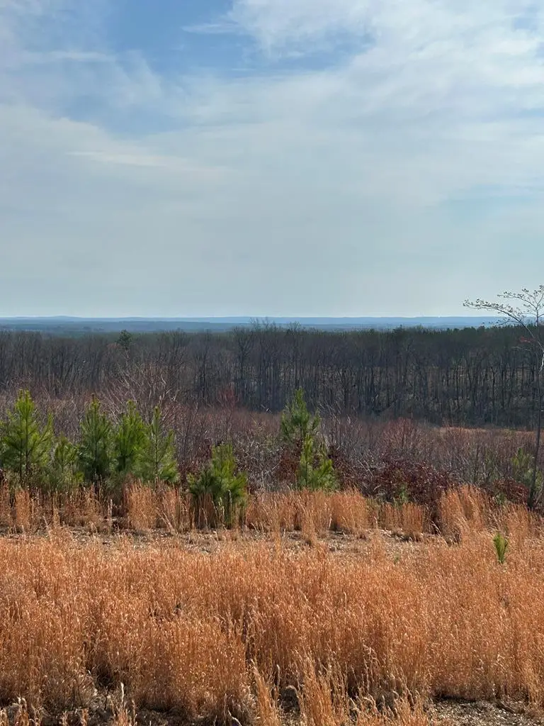 0 Meadow Creek Rd, Wingina, VA 24599 - #2