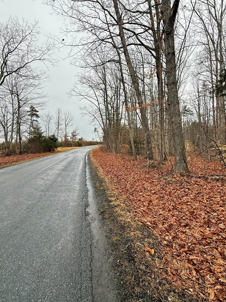 0 Forest Chapel Road, Pamplin, VA 23958 - #3