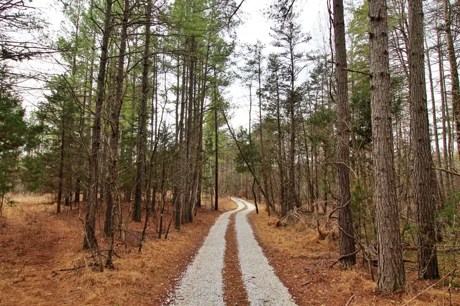 1740 Watt Abbitt, Appomattox, VA 24522 - #2