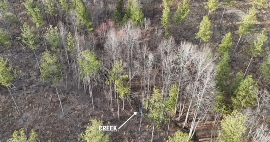 Amelia Springs, Jetersville, VA 23083 - #3