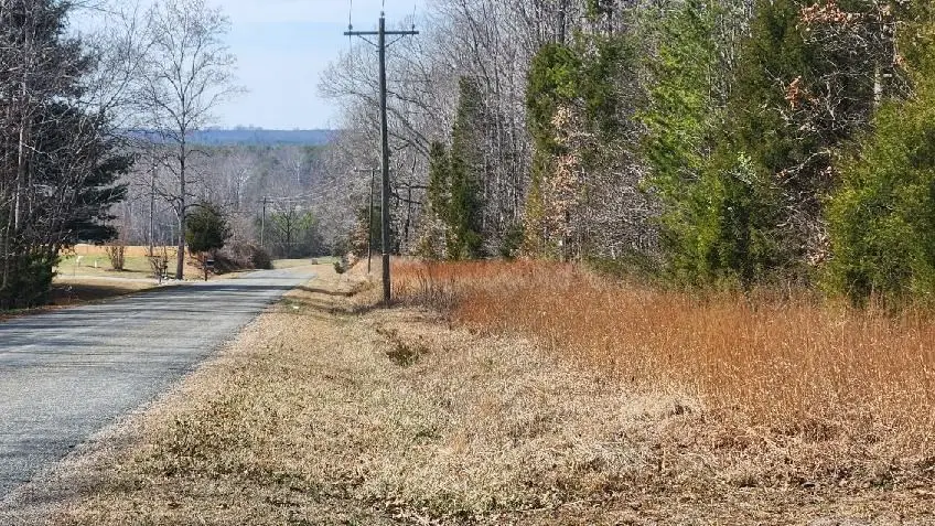 Allen Farm Road, Farmville, VA 23901 - #2