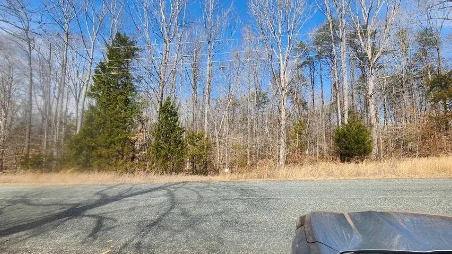 Allen Farm Road, Farmville, VA 23901 - #3